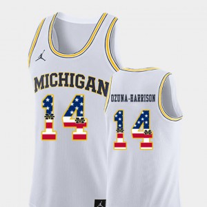 College Basketball Rico Ozuna-Harrison Michigan Jersey White USA Flag Mens #14 586839-350