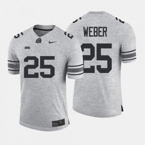 #25 Men Mike Weber OSU Jersey Gridiron Limited Gridiron Gray Limited Gray 569740-814