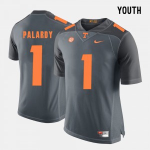 #1 College Football Youth Michael Palardy UT Jersey Grey 565976-227