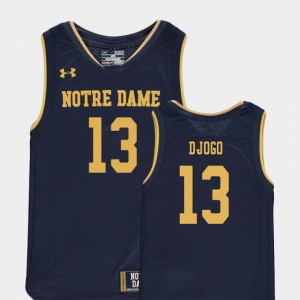 For Kids Replica Nikola Djogo Notre Dame Jersey College Basketball Special Games Navy #13 119937-554