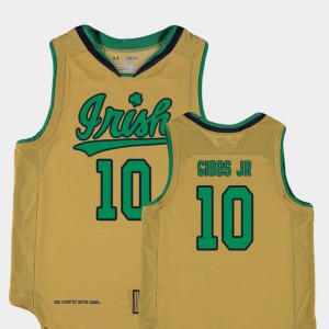 Youth(Kids) Gold College Basketball Special Games #10 TJ Gibbs Jr. Notre Dame Jersey Replica 955734-347